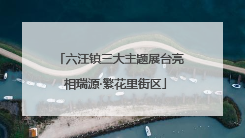 六汪镇三大主题展台亮相瑞源·繁花里街区