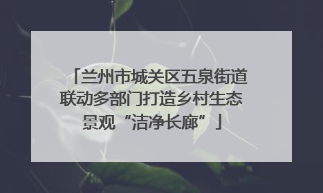 兰州市城关区五泉街道联动多部门打造乡村生态景观“洁净长廊”