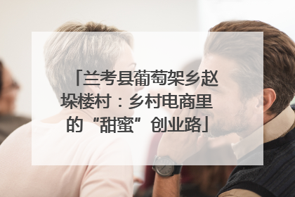 兰考县葡萄架乡赵垛楼村：乡村电商里的“甜蜜”创业路