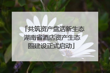 共筑资产盘活新生态 湖南省酒店资产生态圈建设正式启动