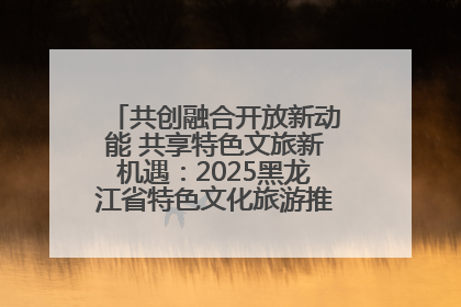 共创融合开放新动能 共享特色文旅新机遇：2025黑龙江省特色文化旅游推介会在抚远举行