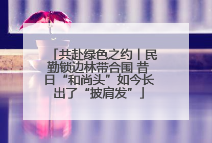 共赴绿色之约丨民勤锁边林带合围 昔日“和尚头”如今长出了“披肩发”
