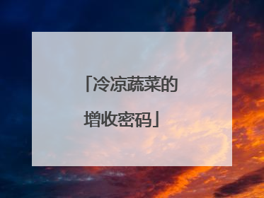 冷凉蔬菜的增收密码