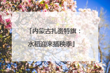 内蒙古扎赉特旗：水稻迎来插秧季