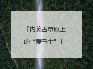 内蒙古草原上的“爱马士”