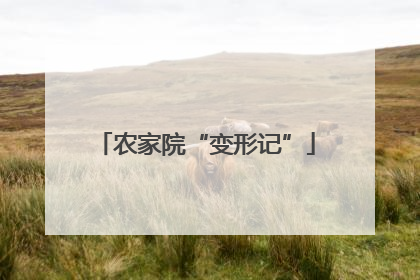 农家院“变形记”