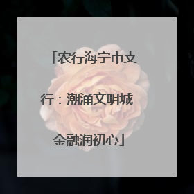 农行海宁市支行：潮涌文明城 金融润初心