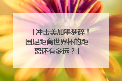冲击美加墨梦碎！国足距离世界杯的距离还有多远？