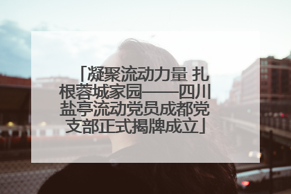 凝聚流动力量 扎根蓉城家园——四川盐亭流动党员成都党支部正式揭牌成立