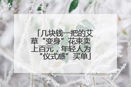 几块钱一把的艾草“变身”花束卖上百元，年轻人为“仪式感”买单