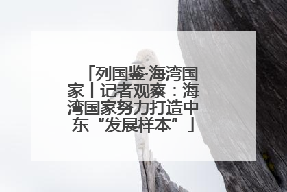列国鉴·海湾国家丨记者观察：海湾国家努力打造中东“发展样本”