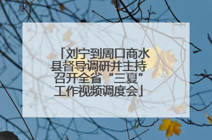 刘宁到周口商水县督导调研并主持召开全省“三夏”工作视频调度会