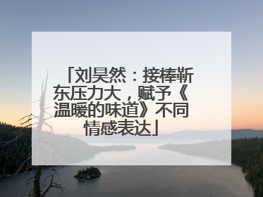 刘昊然：接棒靳东压力大，赋予《温暖的味道》不同情感表达