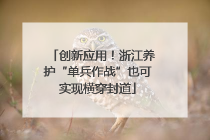 创新应用！浙江养护“单兵作战”也可实现横穿封道