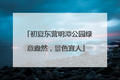 初夏东营明潭公园绿意盎然，景色宜人