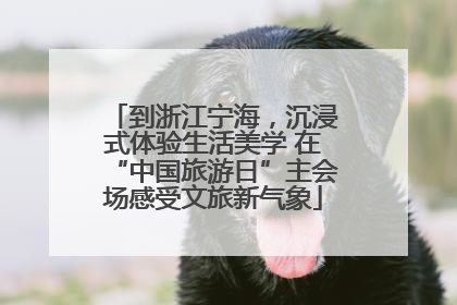 到浙江宁海，沉浸式体验生活美学 在“中国旅游日”主会场感受文旅新气象