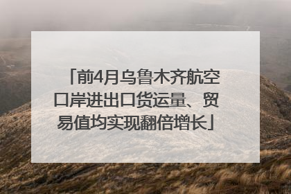 前4月乌鲁木齐航空口岸进出口货运量、贸易值均实现翻倍增长