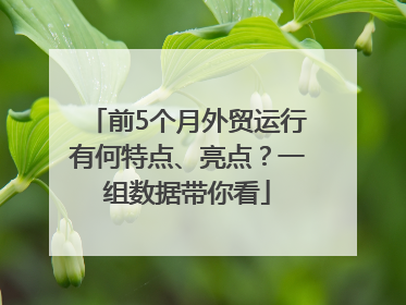 前5个月外贸运行有何特点、亮点？一组数据带你看