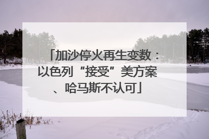 加沙停火再生变数：以色列“接受”美方案、哈马斯不认可