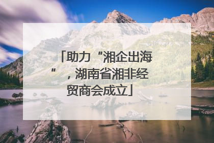 助力“湘企出海”，湖南省湘非经贸商会成立
