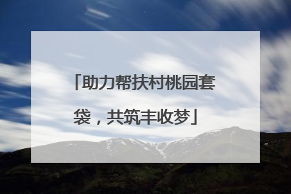 助力帮扶村桃园套袋，共筑丰收梦