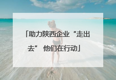 助力陕西企业“走出去” 他们在行动