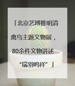 北京艺博推明清禽鸟主题文物展，80余件文物讲述“瑞羽鸣祥”