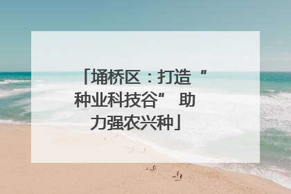 埇桥区：打造“种业科技谷” 助力强农兴种