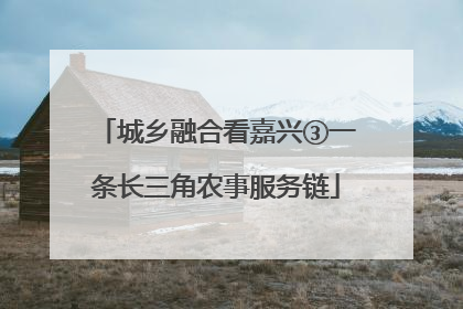 城乡融合看嘉兴③一条长三角农事服务链
