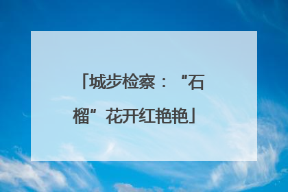 城步检察：“石榴”花开红艳艳