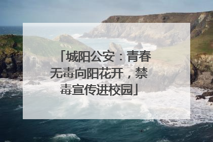 城阳公安：青春无毒向阳花开，禁毒宣传进校园