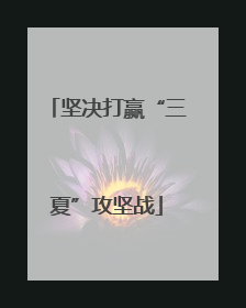 坚决打赢“三夏”攻坚战