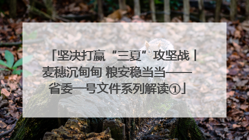 坚决打赢“三夏”攻坚战丨麦穗沉甸甸 粮安稳当当——省委一号文件系列解读①