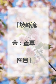 坡岭流金：萱草图景