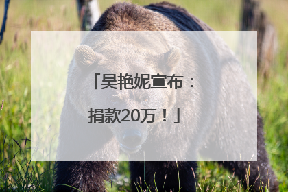 吴艳妮宣布：捐款20万！