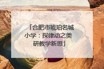 合肥市琥珀名城小学：探律动之美 研教学新思