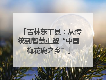 吉林东丰县：从传统到智慧重塑“中国梅花鹿之乡”