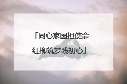 同心家国担使命 红柳筑梦践初心