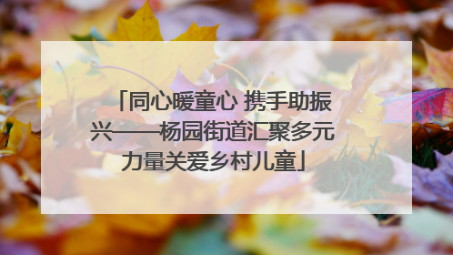 同心暖童心 携手助振兴——杨园街道汇聚多元力量关爱乡村儿童