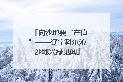 向沙地要“产值”——辽宁科尔沁沙地兴绿见闻