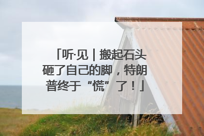 听·见｜搬起石头砸了自己的脚，特朗普终于“慌”了！