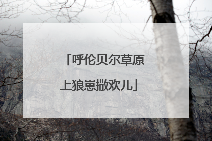 呼伦贝尔草原上狼崽撒欢儿