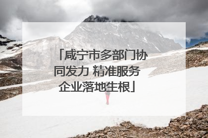 咸宁市多部门协同发力 精准服务企业落地生根