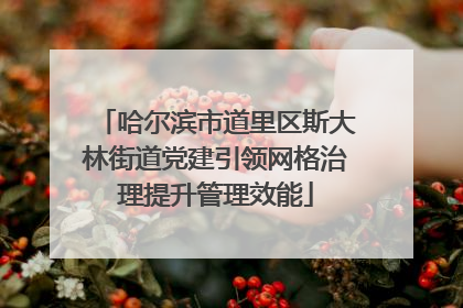 哈尔滨市道里区斯大林街道党建引领网格治理提升管理效能