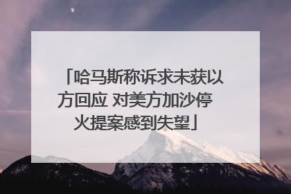 哈马斯称诉求未获以方回应 对美方加沙停火提案感到失望