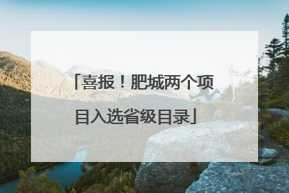 喜报！肥城两个项目入选省级目录