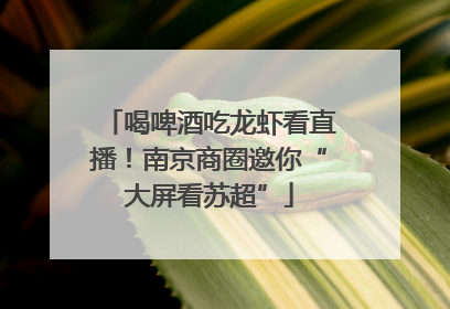 喝啤酒吃龙虾看直播！南京商圈邀你“大屏看苏超”
