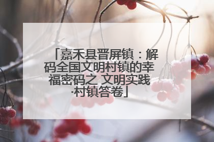 嘉禾县晋屏镇：解码全国文明村镇的幸福密码之 文明实践·村镇答卷