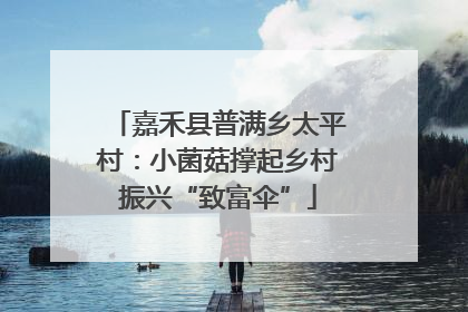 嘉禾县普满乡太平村：小菌菇撑起乡村振兴“致富伞”
