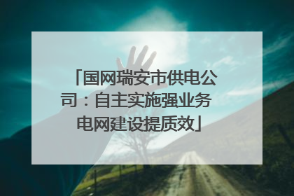 国网瑞安市供电公司：自主实施强业务 电网建设提质效